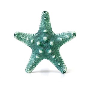 Puede incluir: Una estrella de mar de color turquesa con manchas blancas. La estrella de mar es un elemento de decoración de playa popular.