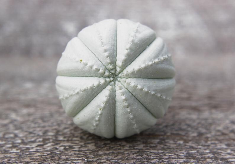 Knobs drawer knobs for dresser knobs set knobs and handles knobs and pulls cupboard knobs cupboard door knobs kitchen knobs cabinet knobs imagen 9
