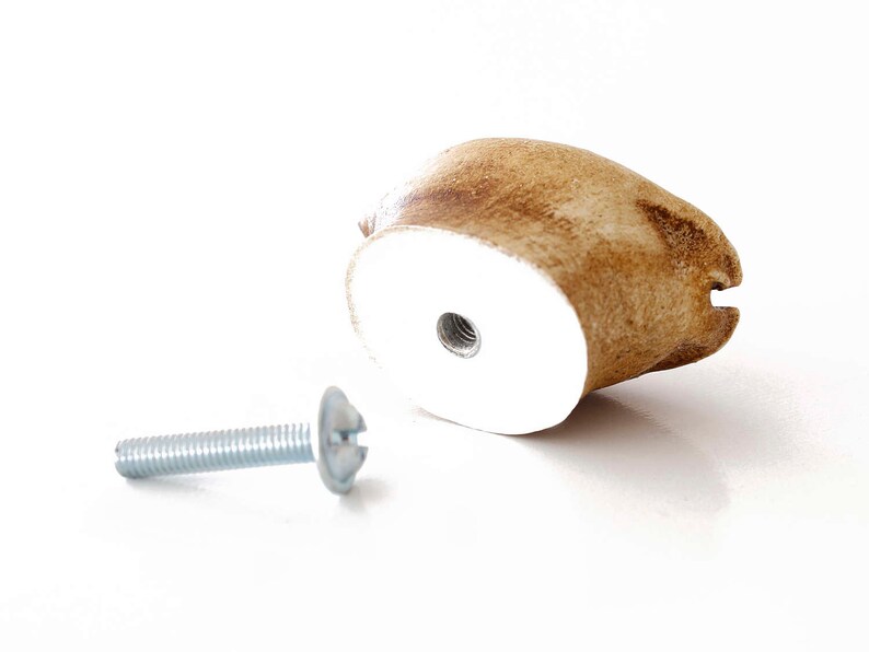 Może przedstawiać: Brązowa ceramiczna gałka drzwiowa z białym otworem na śrubę i srebrną śrubą. Śruba jest oddzielona od gałki.