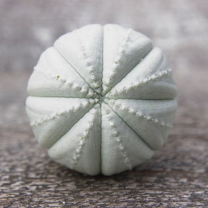Knobs drawer knobs for dresser knobs set knobs and handles knobs and pulls cupboard knobs cupboard door knobs kitchen knobs cabinet knobs image 2