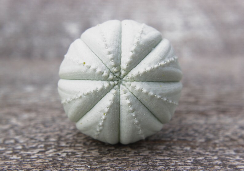 Knobs drawer knobs for dresser knobs set knobs and handles knobs and pulls cupboard knobs cupboard door knobs kitchen knobs cabinet knobs image 2