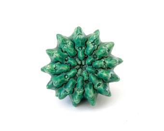 Cabinet knobs decorative knobs drawer knobs dresser knobs cupboard handles colorful succulents cabinet handles dresser handles cactus pulls