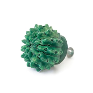 Pu&ograve; includere: Un pomello in ceramica verde con una superficie ruvida e spinosa. Il pomello ha un attacco a vite in metallo.