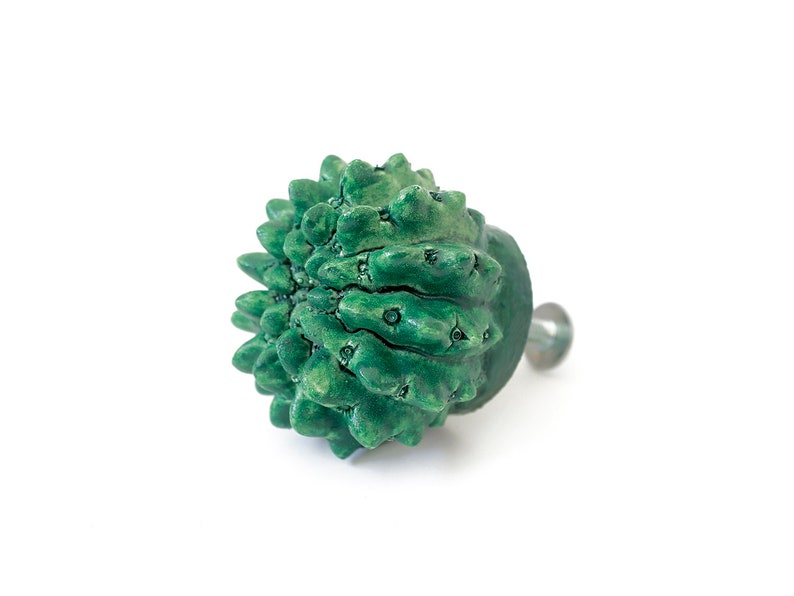 Pu&ograve; includere: Un pomello in ceramica verde con una superficie ruvida e spinosa. Il pomello ha un attacco a vite in metallo.