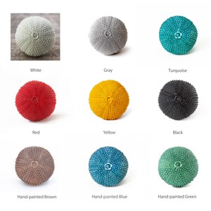 Puede incluir: Colecci&oacute;n de conchas decorativas de erizo de mar en varios colores, incluyendo blanco, gris, turquesa, rojo, amarillo, negro, marr&oacute;n, azul y verde. Cada concha tiene una superficie texturizada y est&aacute; pintada a mano.