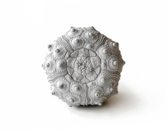 Pomos para gabinetes, pomos de concreto, pomos y tiradores, pomos para gabinetes de cocina, manijas para cocina, manijas para armarios, pomos de playa, pomos grises, pomos para tocador, pomos de mar