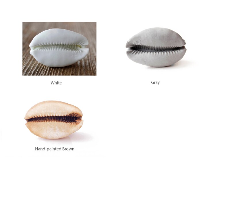May include: Three cowrie shells, one white, one gray, and one hand-painted brown.