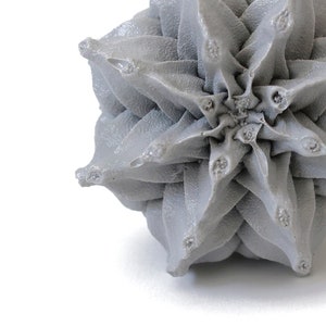 Pode incluir: Um close-up de um objeto cinza em forma de estrela, texturizado. O objeto tem um design geom&eacute;trico 3D com um padr&atilde;o em espiral.