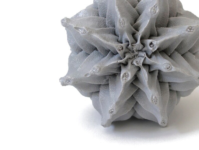 Pode incluir: Um close-up de um objeto cinza em forma de estrela, texturizado. O objeto tem um design geom&eacute;trico 3D com um padr&atilde;o em espiral.
