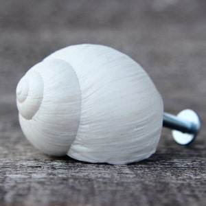 Decorative knobs drawer knobs drawer handle beach house cabinet knobs and pulls dresser drawer pulls dresser knobs cabinet knobs kitchen