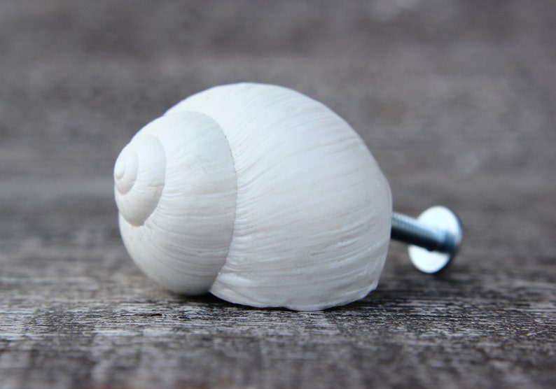 Pode incluir: Pomo de porta de cer&acirc;mica branca em forma de concha marinha com um parafuso prateado. A concha tem um padr&atilde;o de espiral detalhado.