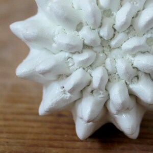 May include: A white ceramic sculpture featuring a dense, radial arrangement of pointed, petal-like protrusions that extend outward from a central core, creating a textured, star-shaped form with a matte finish and visible granular details.