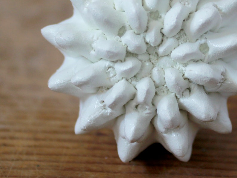 May include: A white ceramic sculpture featuring a dense, radial arrangement of pointed, petal-like protrusions that extend outward from a central core, creating a textured, star-shaped form with a matte finish and visible granular details.