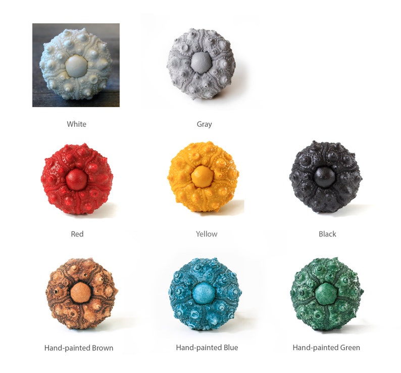 Puede incluir: Nueve pomos de caparaz&oacute;n de erizo de mar en varios colores, incluyendo blanco, gris, rojo, amarillo, negro, marr&oacute;n, azul y verde. Los pomos est&aacute;n todos pintados a mano y tienen una textura natural &uacute;nica.