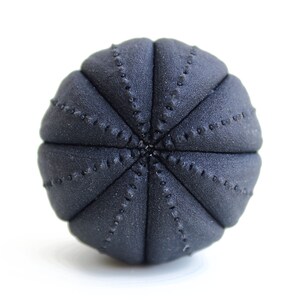 May include: A spherical object with a matte black finish and a textured surface. The item features a series of vertical, segmented ridges that converge at the center, each adorned with a line of small, raised dots along the seams of the segments.