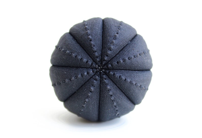 May include: A spherical object with a matte black finish and a textured surface. The item features a series of vertical, segmented ridges that converge at the center, each adorned with a line of small, raised dots along the seams of the segments.
