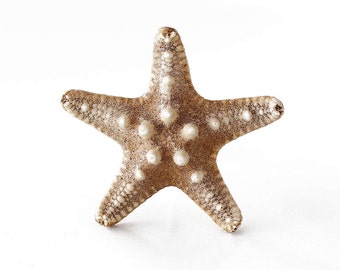 ヒトデキャビネット ビーチハウス 食器棚ノブ 引き出しノブ 装飾 装飾ノブ キッチン取っ手 家具引き出し取っ手 キャビネットハンドル