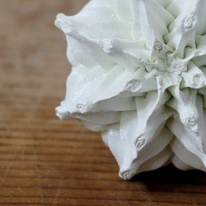 May include: A white, multi-pointed, star-shaped object with a textured, matte finish. The structure features numerous sharp, radiating triangular segments that converge toward a central point, creating a complex, geometric, three-dimensional form.