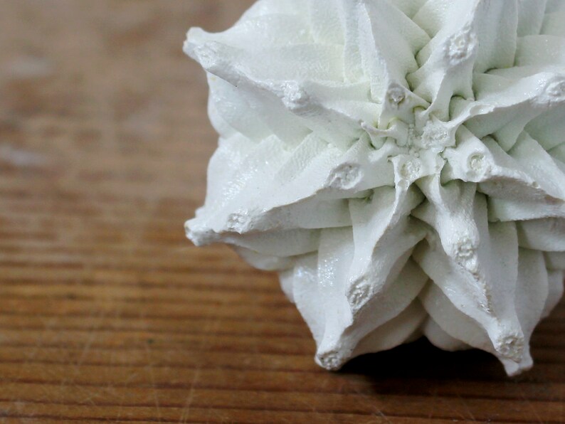 May include: A white, multi-pointed, star-shaped object with a textured, matte finish. The structure features numerous sharp, radiating triangular segments that converge toward a central point, creating a complex, geometric, three-dimensional form.