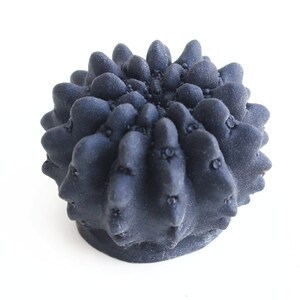 May include: A black ceramic sculpture of a cactus with a spiky, textured surface.