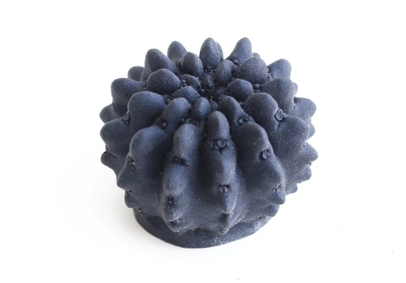 May include: A black ceramic sculpture of a cactus with a spiky, textured surface.