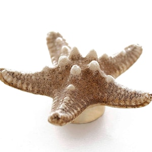 Kitchen drawer handles kitchen drawer knobs kitchen drawer pulls knobs beach house decor knobs and pulls cabinet handles starfish fixtures