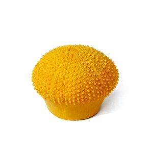 Puede incluir: Objeto amarillo brillante y texturizado, similar a un erizo de mar, sobre un fondo blanco. Tiene una parte superior redondeada cubierta de peque&ntilde;as protuberancias espaciadas uniformemente y una base circular plana. La forma evoca un objeto decorativo.