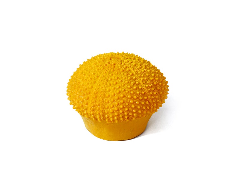 Puede incluir: Objeto amarillo brillante y texturizado, similar a un erizo de mar, sobre un fondo blanco. Tiene una parte superior redondeada cubierta de peque&ntilde;as protuberancias espaciadas uniformemente y una base circular plana. La forma evoca un objeto decorativo.