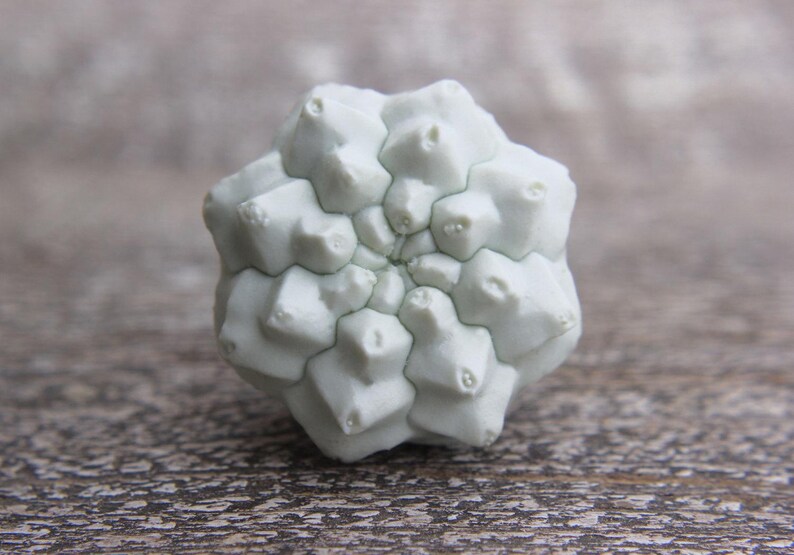 May include: A pale mint green, multi-faceted geometric object with a symmetrical, star-like radial pattern. The surface features numerous raised, rounded protrusions arranged in concentric layers that spiral towards a central point.