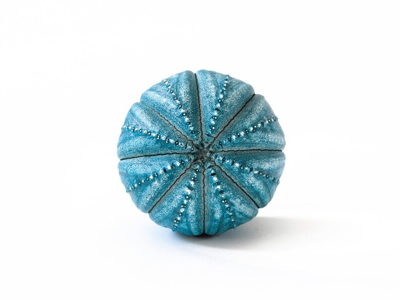 Knobs drawer knobs for dresser knobs set knobs and handles knobs and pulls cupboard knobs cupboard door knobs kitchen knobs cabinet knobs imagen 12