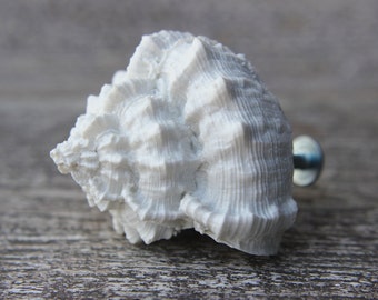 Shell knobs beach knobs and pulls beach house white knobs drawer knobs cabinet knobs kitchen knobs dresser knobs unique knobs handles