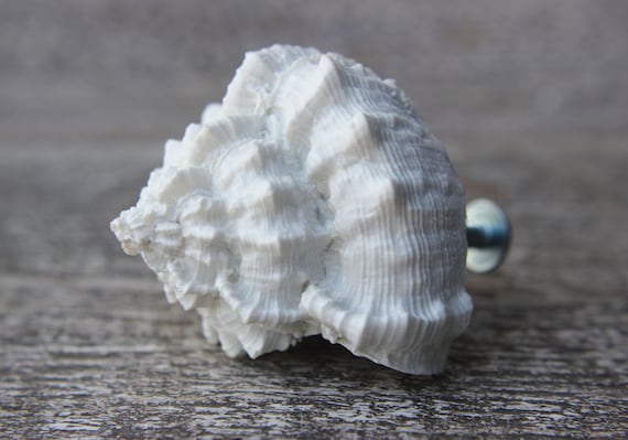 Shell knobs beach knobs and pulls beach house white knobs drawer knobs cabinet knobs kitchen knobs dresser knobs unique knobs handles