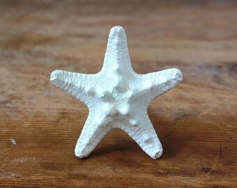 Handmade Starfish Drawer Pull: Beach House Decor, Cabinet Knob