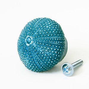 May include: A teal blue sea urchin shaped cabinet knob with a silver screw.