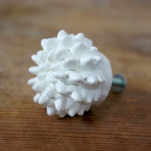 May include: A white cabinet knob shaped like a textured, spiky seed pod or pinecone. The front surface features numerous small, pointed protrusions, while a metal screw extends from the back for attachment to a drawer or cabinet door.
