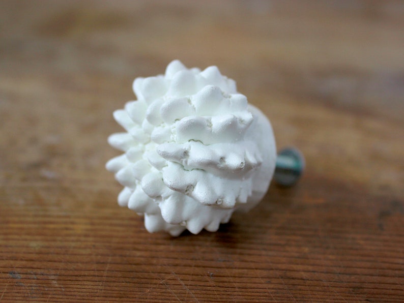 May include: A white cabinet knob shaped like a textured, spiky seed pod or pinecone. The front surface features numerous small, pointed protrusions, while a metal screw extends from the back for attachment to a drawer or cabinet door.