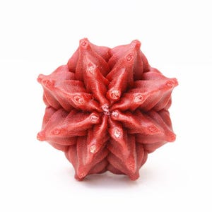 Kitchen decor kitchen handles cabinet handles dresser handles cupboard knobs dresser drawer pulls drawer knobs cabinet pulls cactus
