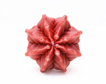 Dekoracja kuchni uchwyty kuchenne uchwyty szafek uchwyty komód gałki do szafek uchwyty szuflad komód gałki do szuflad uchwyty szafek kaktus