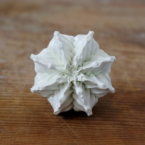 May include: A white, multi-faceted geometric object with a complex, layered structure resembling a stylized flower or star. The object features numerous pointed, triangular segments radiating from a central point, creating a symmetrical, textured form.