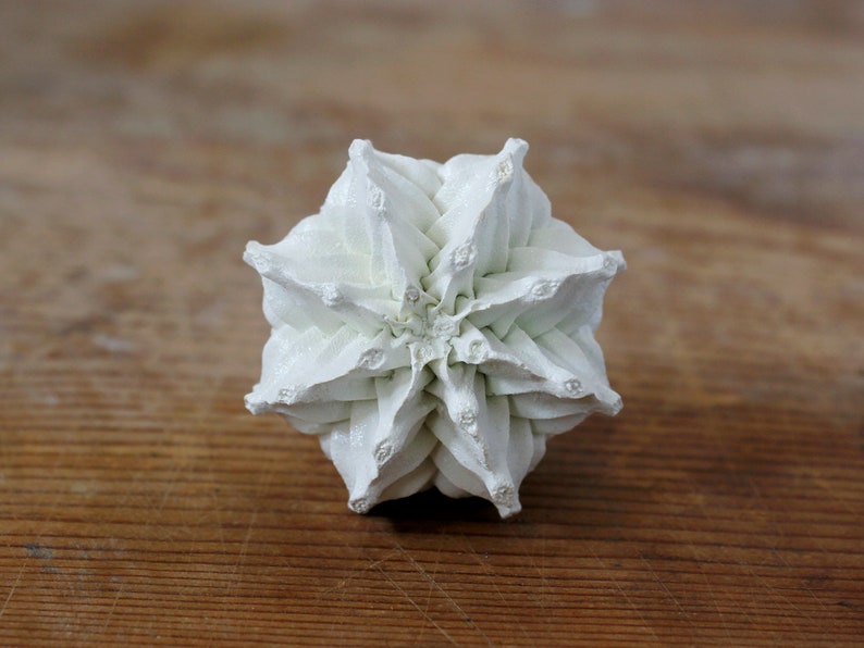 May include: A white, multi-faceted geometric object with a complex, layered structure resembling a stylized flower or star. The object features numerous pointed, triangular segments radiating from a central point, creating a symmetrical, textured form.
