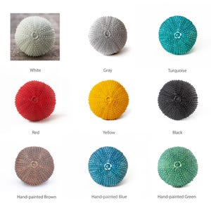 May include: Nine sea urchins painted in various colors, including white, gray, turquoise, red, yellow, black, brown, blue, and green. The sea urchins are arranged in a grid pattern on a white background.