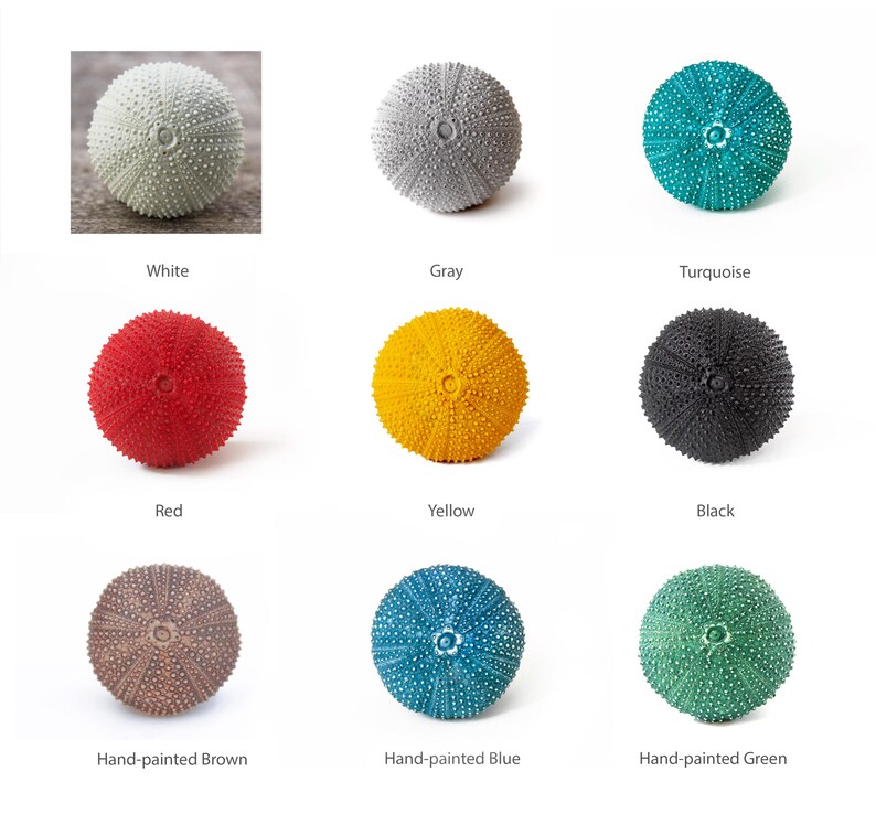 May include: Nine sea urchins painted in various colors, including white, gray, turquoise, red, yellow, black, brown, blue, and green. The sea urchins are arranged in a grid pattern on a white background.