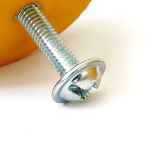 May include: A silver screw with a large, flat, round washer. The screw has a threaded shaft and a hexagonal head. The washer has a raised lip around the edge.