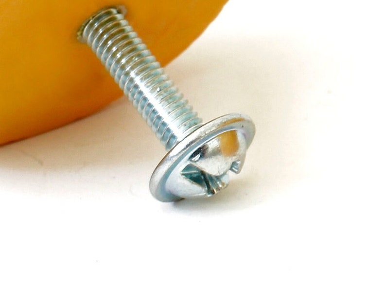 May include: A silver screw with a large, flat, round washer. The screw has a threaded shaft and a hexagonal head. The washer has a raised lip around the edge.