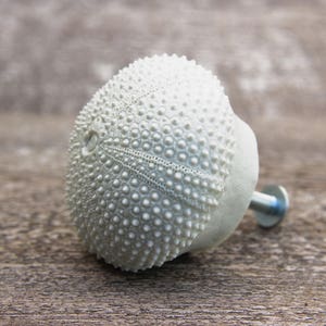 May include: White ceramic door knob shaped like a sea urchin. The knob has a silver metal screw.