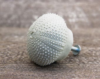 Sea urchin shell Knobs and Pulls drawer handles . Ideal for your beach and coastal house ! Kitchen storage pantry curio liquor bar cabinet