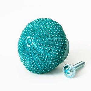 Perillas de armario de casa de playa, perillas de cajón, perillas de tocador, perillas decorativas, herrajes de cocina, herrajes para muebles, erizo de mar imagen 2