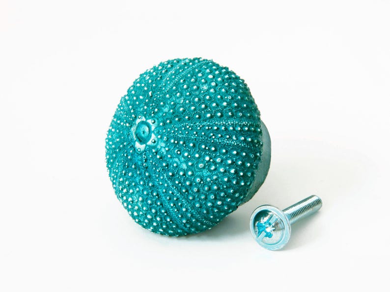 Perillas de armario de casa de playa, perillas de cajón, perillas de tocador, perillas decorativas, herrajes de cocina, herrajes para muebles, erizo de mar imagen 2