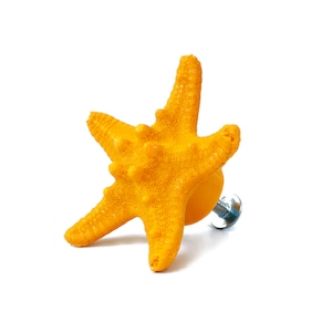 Puede incluir: Tirador de cajón de cerámica amarilla en forma de estrella de mar con un tornillo plateado.