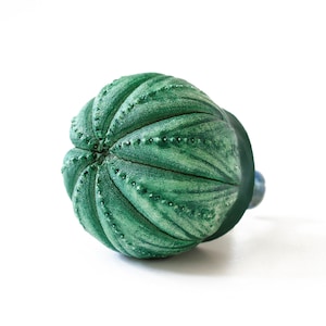 Può includere: Un pomello in ceramica verde, rotondo, con una superficie testurizzata e costolata che ricorda un riccio di mare. La finitura presenta un aspetto opaco e usurato con piccoli punti in rilievo lungo le creste e una base cilindrica liscia.